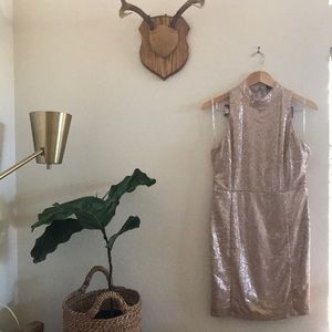 Nude Sequins Dress